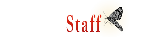 スタッフ