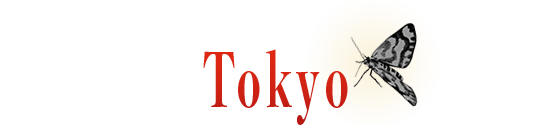 東京公演